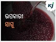 ସାଗୁ ଖାଇବା ସ୍ୱାସ୍ଥ୍ୟ ପାଇଁ ବହୁତ ଲାଭଦାୟକ
