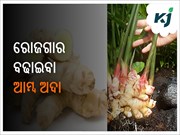 ଏହି ଚାଷ ରୋଜଗାର ବଢାଇବା ସହିତ ଆପଣଙ୍କୁ ଲକ୍ଷପତି କରିବ ଏହି ଚାଷ ରୋଜଗାର ବଢାଇବା ସହିତ ଆପଣଙ୍କୁ ଲକ୍ଷପତି କରିବ