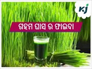 ଜାଣନ୍ତୁ, ଗହମ ଘାସ ରସ ଏବଂ ପାଉଡର ର ସ୍ୱାସ୍ଥ୍ୟ ପାଇଁ ଉପକାରିତା