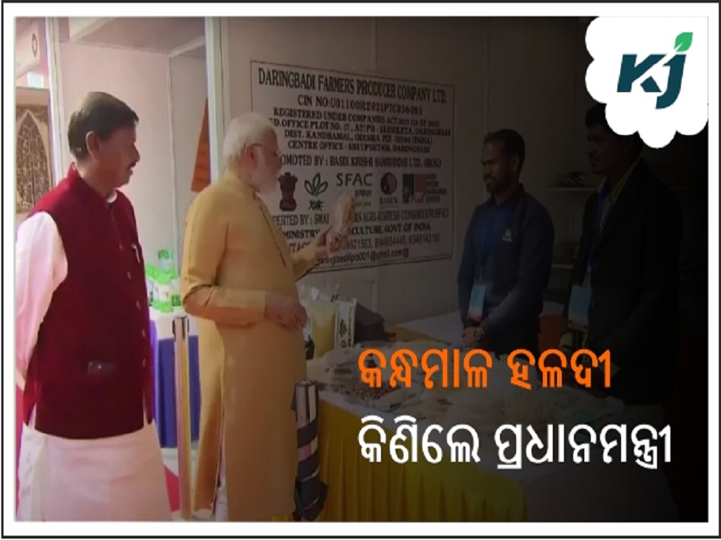 The Prime Minister bought Kandhamal coffee and Pampads at the Adibasi festival