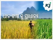 ଆସନ୍ତା ୧୦ ବର୍ଷରେ ଅଧିକ ଧାନ ଉତ୍ପାଦନ ଯୋଜନା କରୁଛି ଶ୍ରୀଲଙ୍କା କୃଷି ମନ୍ତ୍ରଣାଳୟ