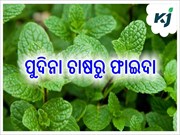ଖରାଦିନେ ଏହି ଚାଷ ଦେବ ଲାଭ ଖରାଦିନେ ଏହି ଚାଷ ଦେବ ଲାଭ