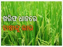 ଜାରି ଧାନ କ୍ରୟ ରୁ 1 କୋଟିରୁ ଅଧିକ ଚାଷୀ ଲାଭବାନ ଜାରି ଧାନ କ୍ରୟ ରୁ 1 କୋଟିରୁ ଅଧିକ ଚାଷୀ ଲାଭବାନ