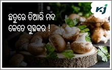 ଛତୁରେ ପ୍ରସ୍ତୁତ ଫରମେଣ୍ଟଡ଼ ମଦ 