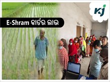 କିପରି ଉଠାଇବେ E-Shram କାର୍ଡରେ ଲାଭ ?