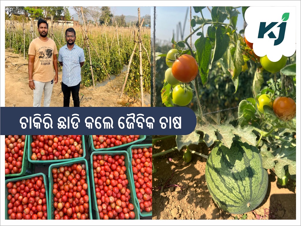 Young Techie Quit IT Career in Malaysia for Organic Farming in Odisha