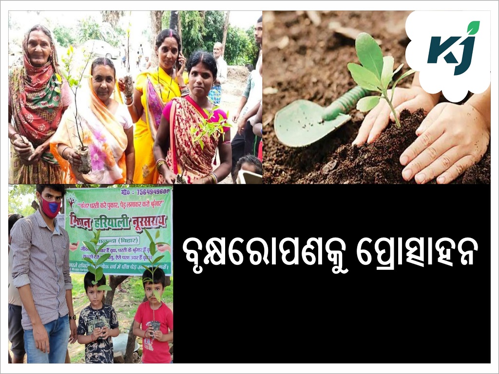 Mission Hariyali:  Bring back fruit trees to the nearly barren villages of Nalanda