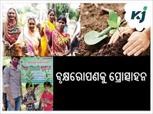 ମିଶନ୍ ହରିୟାଲି: ନାଳନ୍ଦାର ବନ୍ଧ୍ୟା ଗ୍ରାମକୁ ଫେରିଲା ସବୁଜତl 