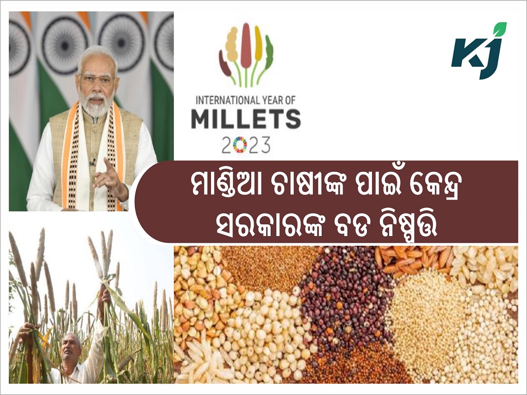 Center will concentrate on decentralised processing & marketing of millets