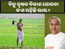 ଜାଣନ୍ତ, କିପରି ଉଠାଇବେ ବିଜୁ କୃଷକ ବିକାଶ ଯୋଜନାର ଲାଭ....