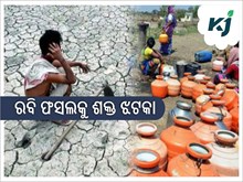 ବର୍ଷା ନାହିଁ,ପଡିଆ ପଡିଛି ଜମି,ହତାଶ ଚାଷୀ  ବର୍ଷା ନାହିଁ,ପଡିଆ ପଡିଛି ଜମି,ହତାଶ ଚାଷୀ