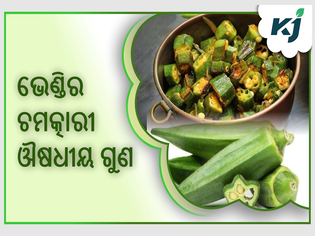 Unexpected Health Advantages Of Bhindi