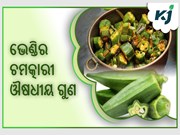 ଭେଣ୍ଡିରେ ଚମତ୍କାରୀ ଔଷଧୀୟ ଗୁଣ ଭଲ କରିଦେବ ଏହି 8 ଟି ମାରାତ୍ମକ ରୋଗ 