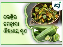 ଭେଣ୍ଡିରେ ଚମତ୍କାରୀ ଔଷଧୀୟ ଗୁଣ ଭଲ କରିଦେବ ଏହି 8 ଟି ମାରାତ୍ମକ ରୋଗ 