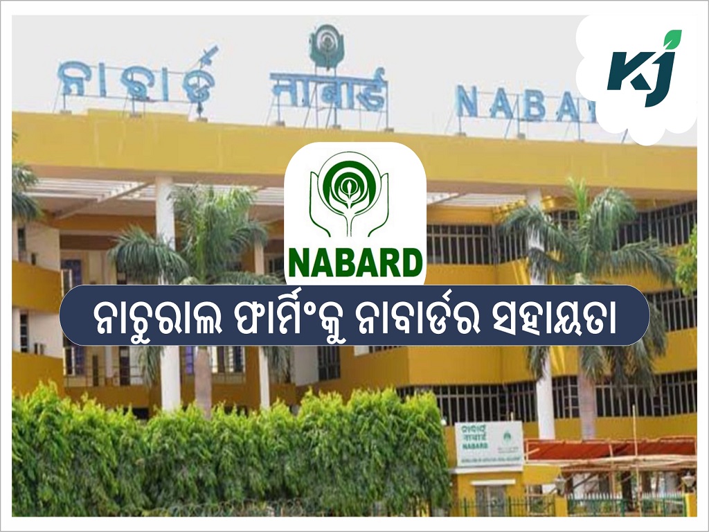 Nabard will support organic farming