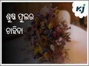 ଜାଣନ୍ତୁ, ଆଧୁନିକ ଯୁଗରେ ଶୁଷ୍କ ଫୁଲରୁ କିପରି ପାଇବେ ଲାଭ........ ଜାଣନ୍ତୁ, ଆଧୁନିକ ଯୁଗରେ ଶୁଷ୍କ ଫୁଲରୁ କିପରି ପାଇବେ ଲାଭ........