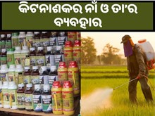 ଜାଣନ୍ତୁ ବିଭିନ୍ନ କିଟନାଶକର ନାଁ ଓ ତା’ର ବ୍ୟବହାର.. ଜାଣନ୍ତୁ ବିଭିନ୍ନ କିଟନାଶକର ନାଁ ଓ ତା’ର ବ୍ୟବହାର..