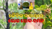ଜୈବିକ ଉପାୟରେ କିପରି କରିବେ ଫସଲରୁ ରୋଗପୋକ ଦମନ..... ଜୈବିକ ଉପାୟରେ କିପରି କରିବେ ଫସଲରୁ ରୋଗପୋକ ଦମନ.....