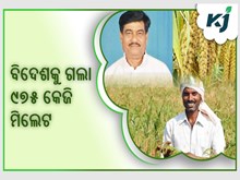 ଚଳିତ ବର୍ଷ ଦୁବାଇ ଓ ୟୁଏଇକୁ ଓଡ଼ିଶାରୁ ୯୭୫ କେ.ଜି ମିଲେଟ ରପ୍ତାନି ଚଳିତ ବର୍ଷ ଦୁବାଇ ଓ ୟୁଏଇକୁ ଓଡ଼ିଶାରୁ ୯୭୫ କେ.ଜି ମିଲେଟ ରପ୍ତାନି