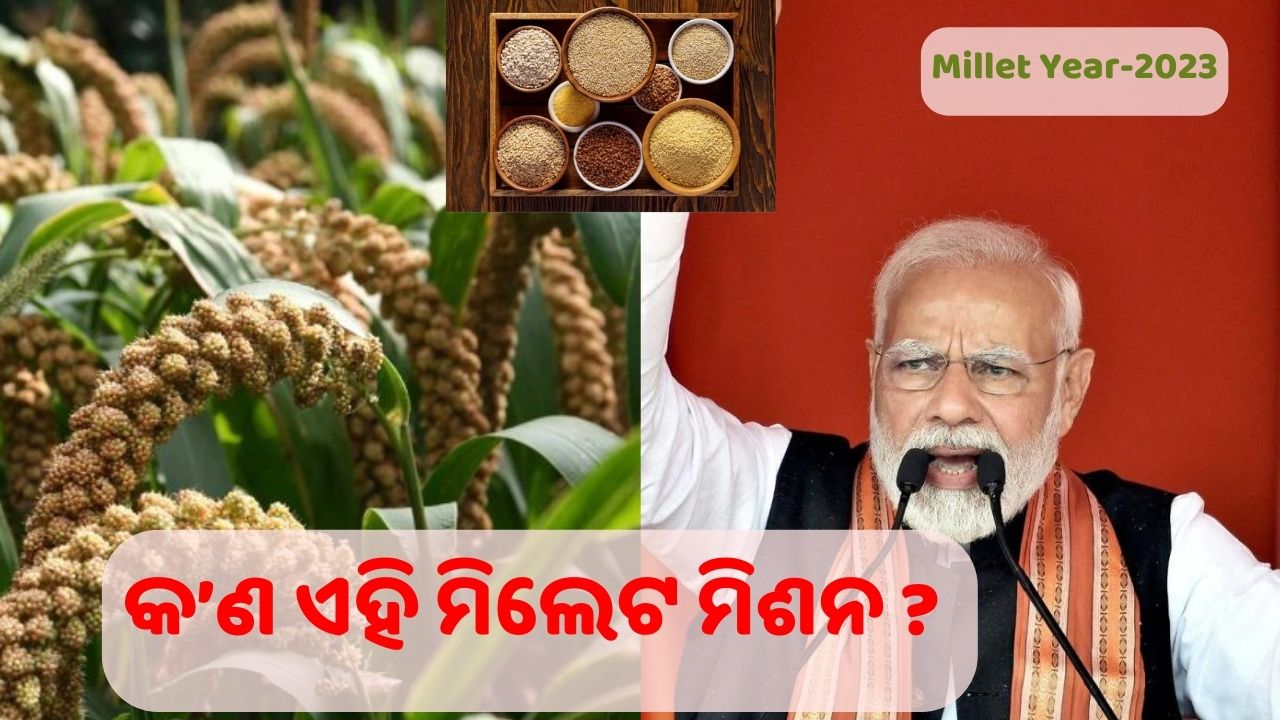 What is Millet Mission?