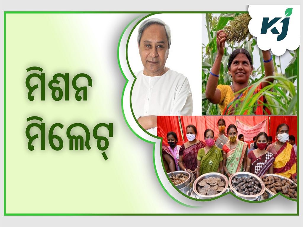 Mission millet empowers to village women of odisha