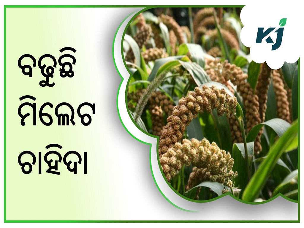 Importance of millets