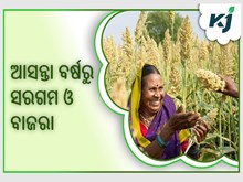 ମିଲେଟ୍ ମିସନ୍ ବଜେଟ୍: ୭ ବର୍ଷରେ ୫୦ ଗୁଣା ମିଲେଟ୍ ମିସନ୍ ବଜେଟ୍: ୭ ବର୍ଷରେ ୫୦ ଗୁଣା