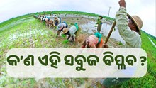 ଜାଣିଛନ୍ତି କି କ’ଣ ଏହି ସବୁଜ ବିପ୍ଳବ ? ଜାଣିଛନ୍ତି କି କ’ଣ ଏହି ସବୁଜ ବିପ୍ଳବ ?