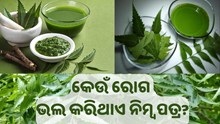 ପ୍ରତିଦିନ ପିଅନ୍ତୁ ନିମ୍ୱ ପତ୍ର, ଭଲ ହୋଇଯିବ ଏହି ସବୁ ରୋଗ…