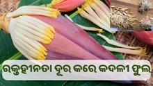 ରକ୍ତହୀନତା ଦୂର କରିଥାଏ କଦଳୀ ଫୁଲ..
