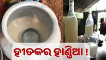 ଜାଣନ୍ତୁ, ହାଣ୍ଡିଆ କ୍ଷତିକାରକ ନା ହୀତକାରକ...
