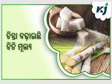 ଚିନିର ମୂଲ୍ୟବୃଦ୍ଧି  ଖାଦ୍ୟ ସୁରକ୍ଷା ପାଇଁ ନୂଆ ବିପଦ  ଚିନିର ମୂଲ୍ୟବୃଦ୍ଧି  ଖାଦ୍ୟ ସୁରକ୍ଷା ପାଇଁ ନୂଆ ବିପଦ