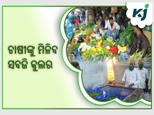 ଚାଷୀଙ୍କୁ ରିହାତିରେ ମିଳିବ ସବଜି କୁଲର