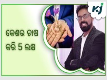 ହାଇଡ୍ରୋପୋନିକ୍ସ ପଦ୍ଧତିରେ ଚାଷ କେଶର 