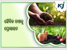 ପ୍ରାକୃତିକ ଚାଷରେ ବୈଜ୍ଞାନିକ ଅନୁସନ୍ଧାନ ବୃଦ୍ଧି କରିବେ ସରକାର  ପ୍ରାକୃତିକ ଚାଷରେ ବୈଜ୍ଞାନିକ ଅନୁସନ୍ଧାନ ବୃଦ୍ଧି କରିବେ ସରକାର