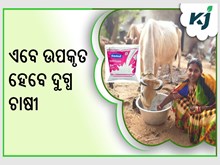 ମହଙ୍ଗା ହେଲା କ୍ଷୀର , ଏବେ ଉପକୃତ ହେବେ ଦୁଗ୍ଧ ଚାଷୀ