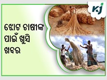 ଝୋଟ ଚାଷୀଙ୍କ ପାଇଁ ଖୁସି ଖବର  ଝୋଟ ଚାଷୀଙ୍କ ପାଇଁ ଖୁସି ଖବର