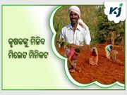 ୮ ଲକ୍ଷ କୃଷକଙ୍କୁ ମିଳିବ ହାଇବ୍ରିଡ ମିଲେଟ ମଞ୍ଜି ମିନିକଟ