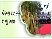 ବିକାଶ ପଥରେ ଆଖୁ ଚାଷୀ  ବିକାଶ ପଥରେ ଆଖୁ ଚାଷୀ