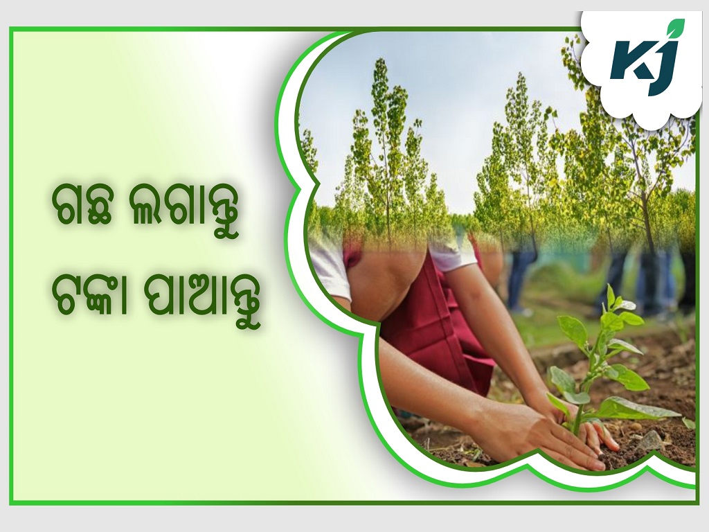 Currently with a Minimum Investment of Rs.10, Farmers Can Profit Six Times More!