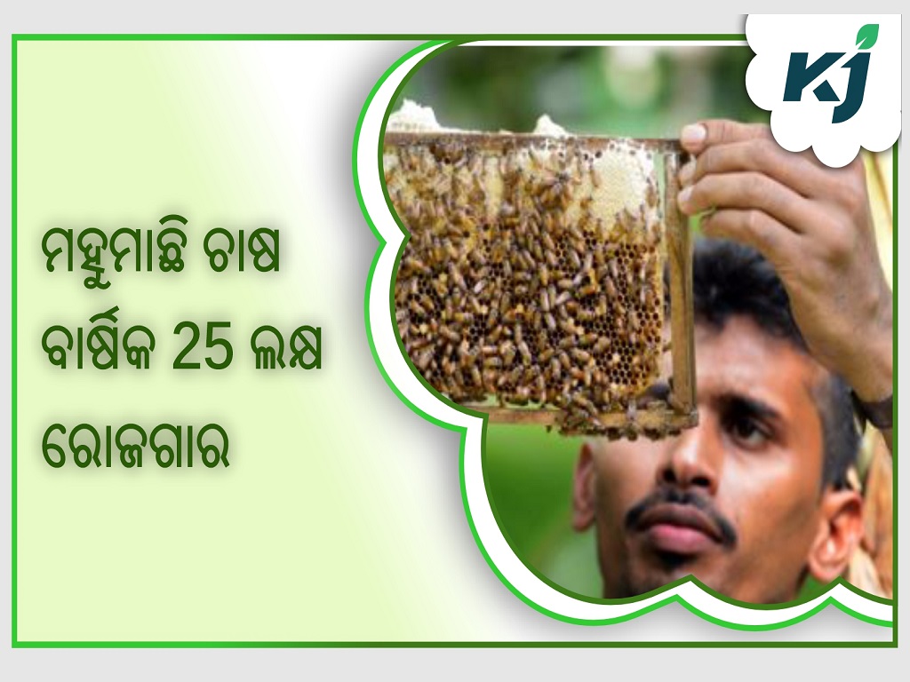 Narendra Malav, a successful beekeeper from Kota, has an annual income of Rs. 25 lakhs