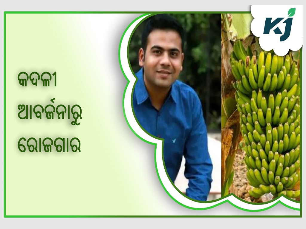 Madhya Pradesh Man Creates Eco-Friendly Items from Banana Waste and Earns Thousands
