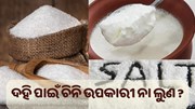 ଦହି ପାଇଁ ଚିନି ଉପକାରୀ ନା ଲୁଣ ?
