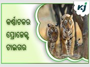 କର୍ଣ୍ଣାଟକର ମହୀଶୂରରେ "ପ୍ରୋଜେକ୍ଟ ଟାଇଗରର ୫୦ ବର୍ଷର ପୂର୍ତ୍ତି ସ୍ମାରକୀ” କାର୍ଯ୍ୟକ୍ରମ