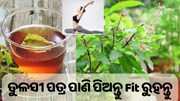 ପ୍ରତିଦିନ ଖାଲି ପେଟରେ ପିଅନ୍ତୁ ତୁଳସୀ ପାଣି, ଜାଣନ୍ତୁ ଫାଇଦା....