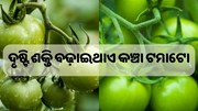 ବୟସ ହେବା ପୂର୍ବରୁ ଆଖିରେ ଲାଗି ଯାଉଛି କି ଚଷମା, ଖାଆନ୍ତୁ......