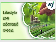 ଏହି ତିନୋଟି ବ୍ୟବସାୟ Lifestyleକୁ କରିଦେବ ଚେଞ୍ଜ   ଏହି ତିନୋଟି ବ୍ୟବସାୟ Lifestyleକୁ କରିଦେବ ଚେଞ୍ଜ