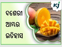 ଜାଣନ୍ତୁ ଦଶେରୀ ଆମ୍ବର ଇତିହାସ ଜାଣନ୍ତୁ ଦଶେରୀ ଆମ୍ବର ଇତିହାସ