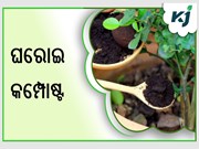 Homemade fertilizers ....ସହଜ ଉପାୟରେ ଘରେ ପ୍ରସ୍ତୁତ କରନ୍ତୁ ଜୈବିକ ସାର  Homemade fertilizers ....ସହଜ ଉପାୟରେ ଘରେ ପ୍ରସ୍ତୁତ କରନ୍ତୁ ଜୈବିକ ସାର