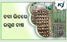 ବିନା ଜମିରେ କିପରି କରିବେ ଚାଷ ,ପଢନ୍ତୁ ପୁରା ଷ୍ଟୋରି 